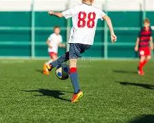 保级关键战,范尼立誓,拼搏到底,世界杯预选赛,2026预选赛,国际足联,球队动态,赛程分析